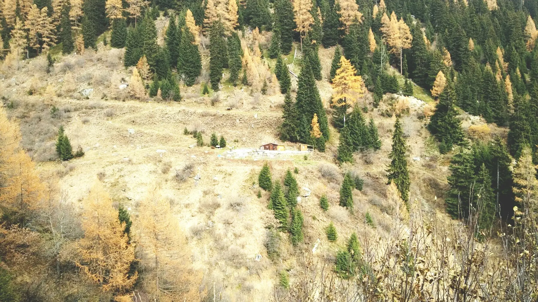 Via Alpina Étape 94 : Ulrichen - Fieschertal