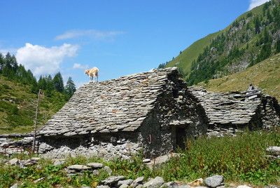 Via Alpina Itinéraire Bleu - Étape 11: Madonna della Gurva - Campello Monti